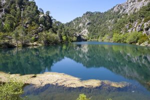 Lee más sobre el artículo Las 4 mejores rutas de senderismo en Parque Natural de Cazorla, Segura y Las Villas